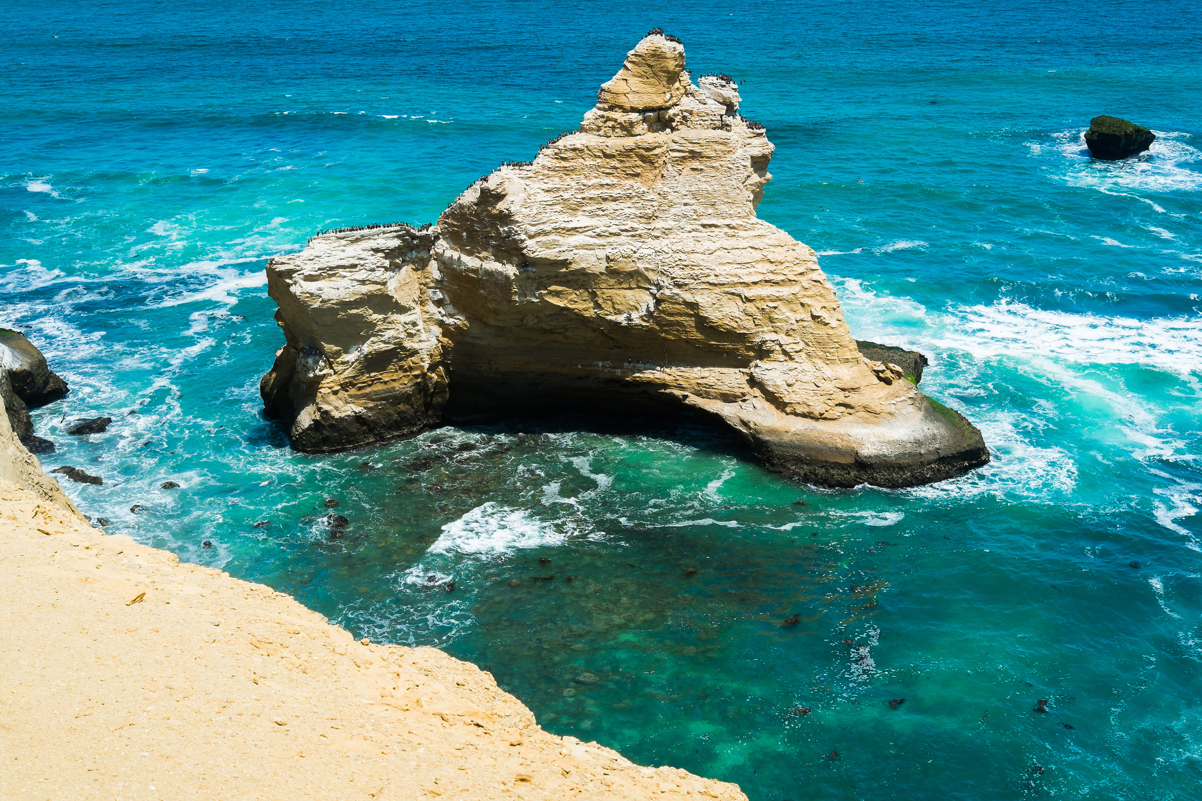 93 paracas.webp
